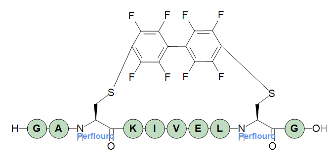 xlink04 structure